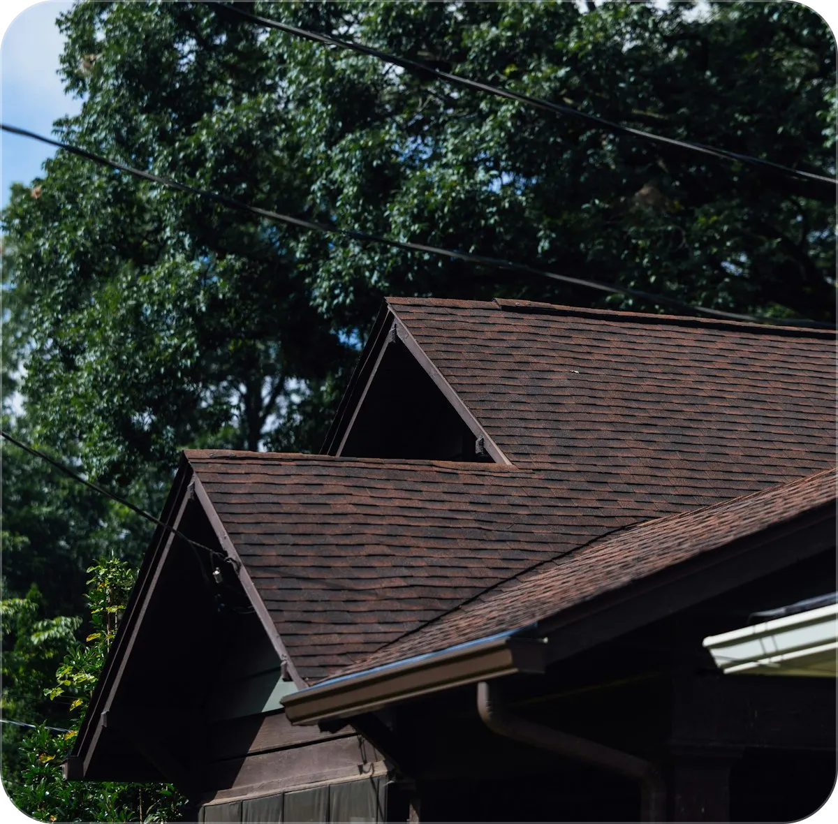shingled roof