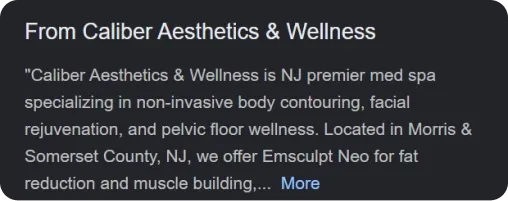 business description