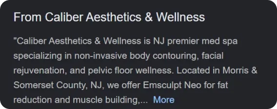 business description