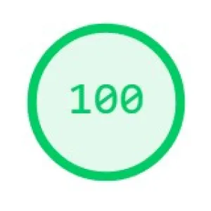 performance score