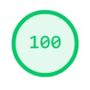 performance score